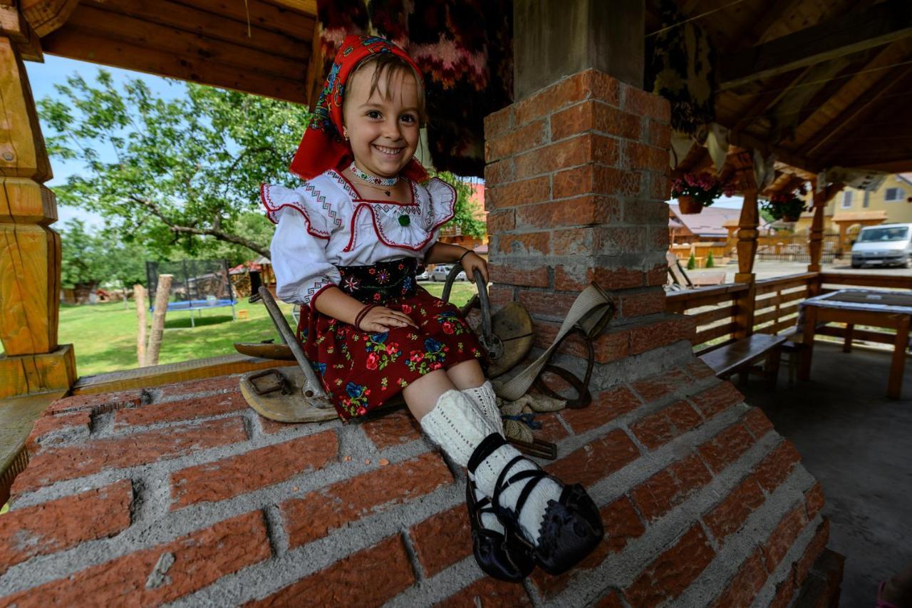 Pensiune Agroturistica "Casa Teodora" Budeşti Extérieur photo