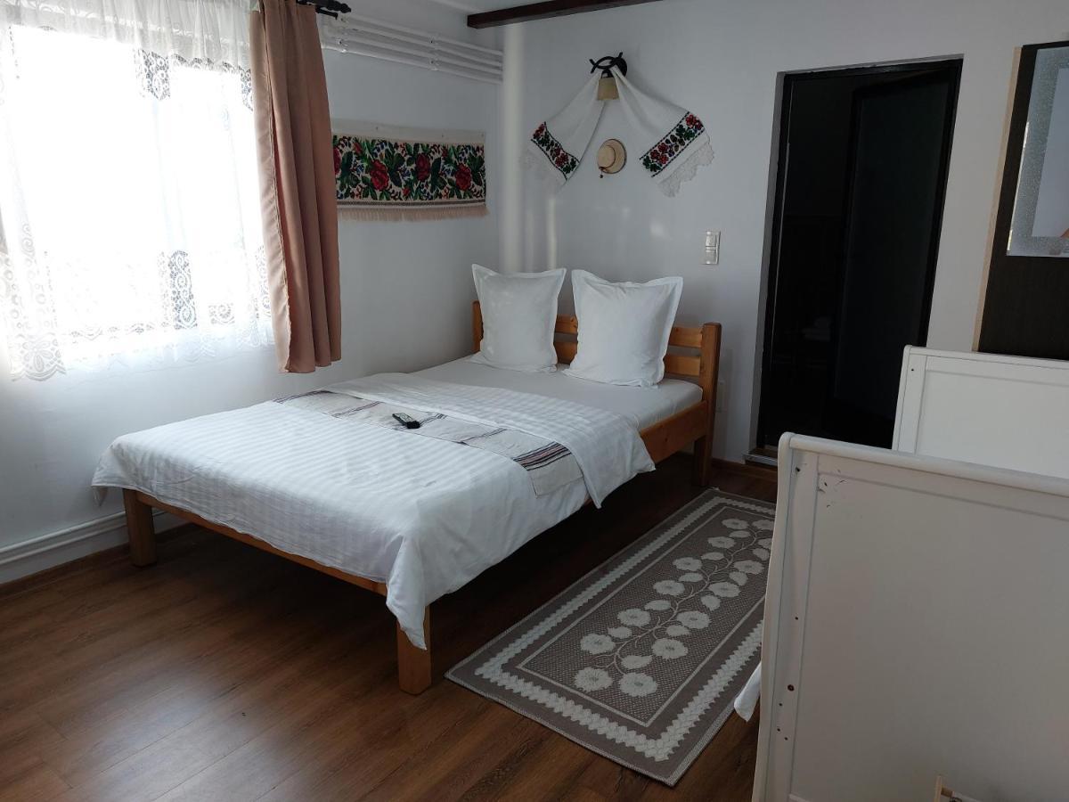 Pensiune Agroturistica "Casa Teodora" Budeşti Extérieur photo