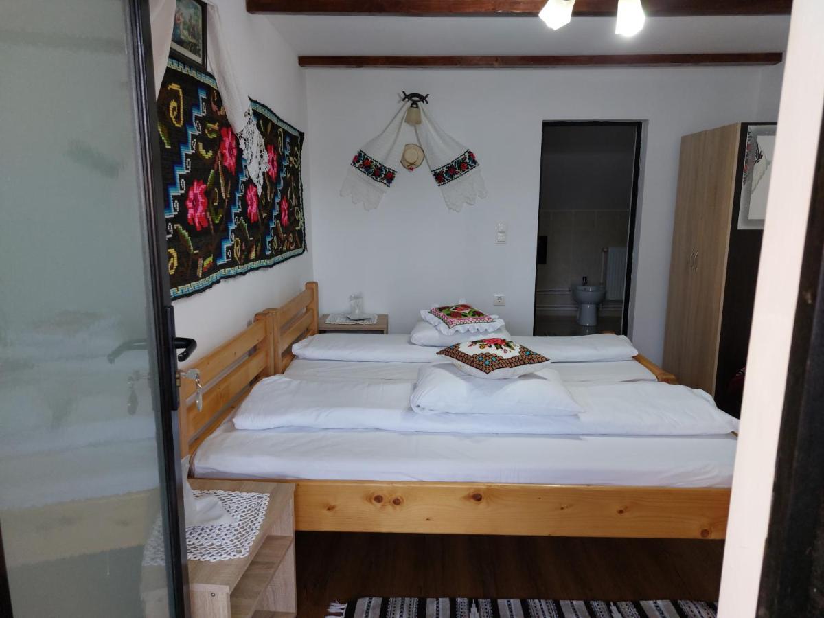 Pensiune Agroturistica "Casa Teodora" Budeşti Extérieur photo