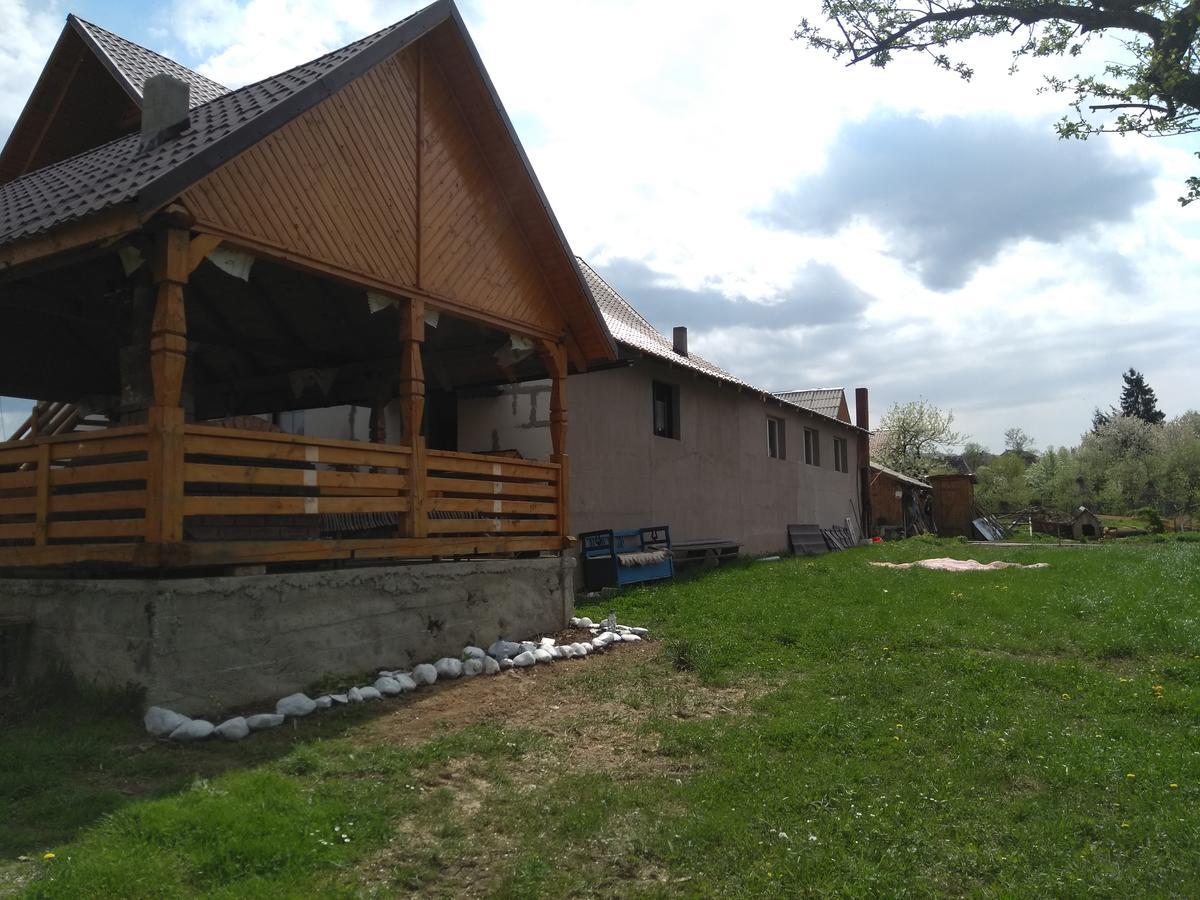 Pensiune Agroturistica "Casa Teodora" Budeşti Extérieur photo