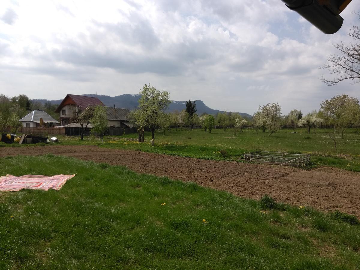 Pensiune Agroturistica "Casa Teodora" Budeşti Extérieur photo