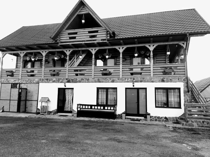 Pensiune Agroturistica "Casa Teodora" Budeşti Extérieur photo
