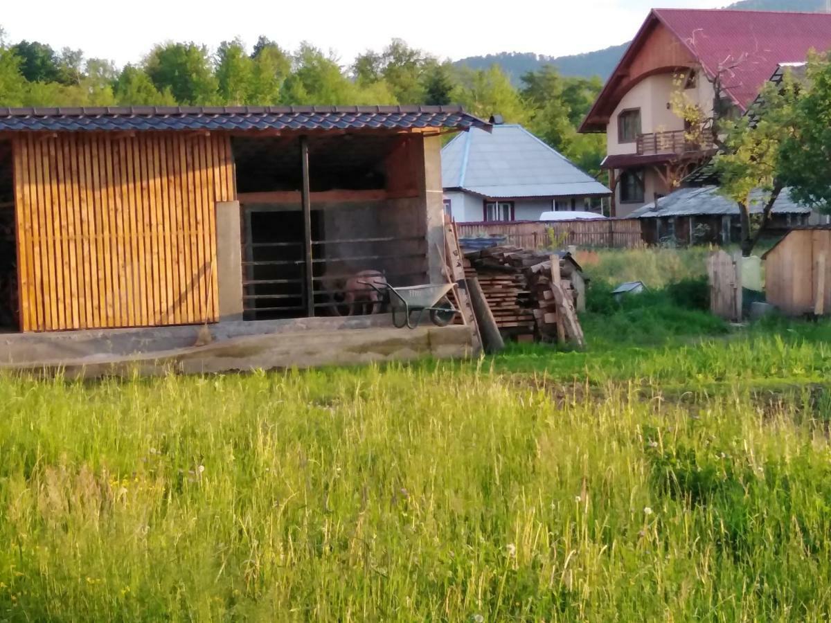 Pensiune Agroturistica "Casa Teodora" Budeşti Extérieur photo
