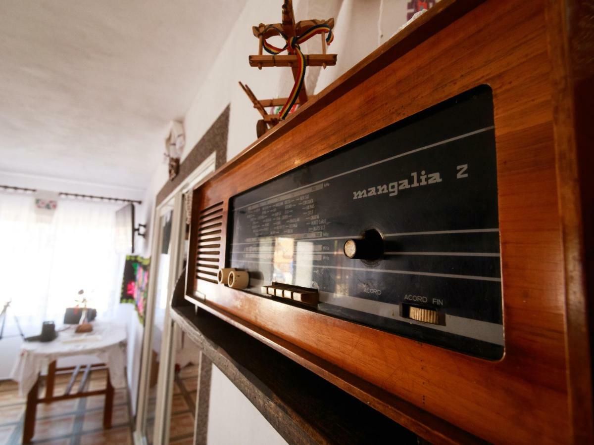 Pensiune Agroturistica "Casa Teodora" Budeşti Extérieur photo
