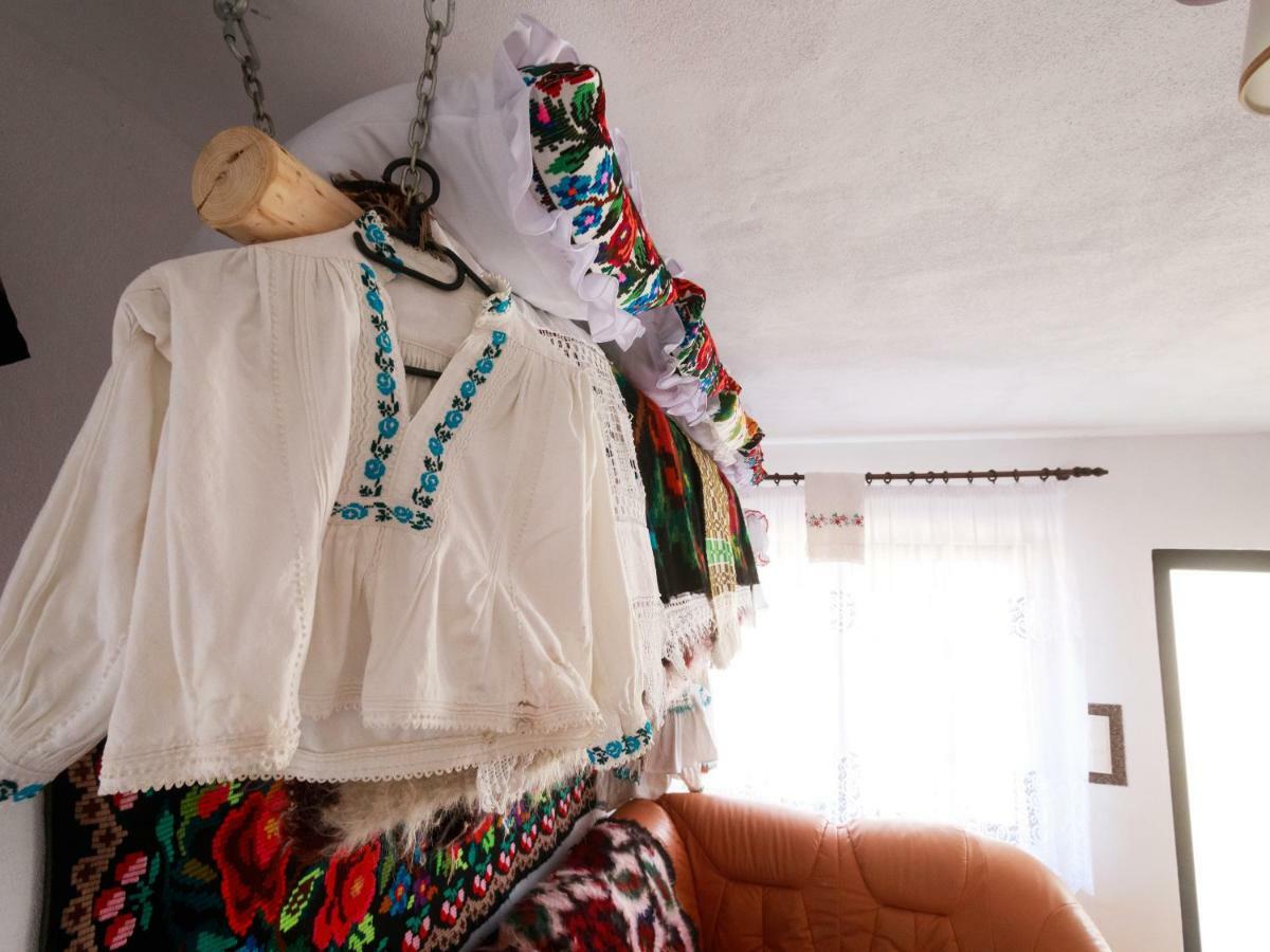 Pensiune Agroturistica "Casa Teodora" Budeşti Extérieur photo